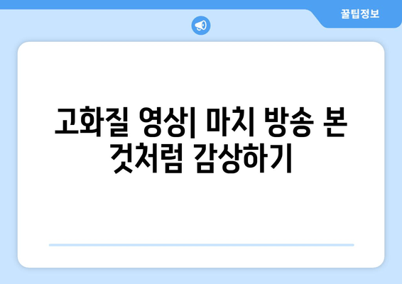 고화질 영상| 마치 방송 본 것처럼 감상하기