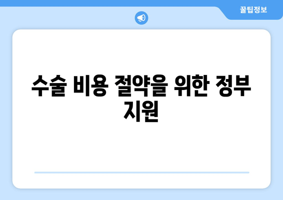 수술 비용 절약을 위한 정부 지원