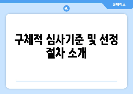 구체적 심사기준 및 선정 절차 소개