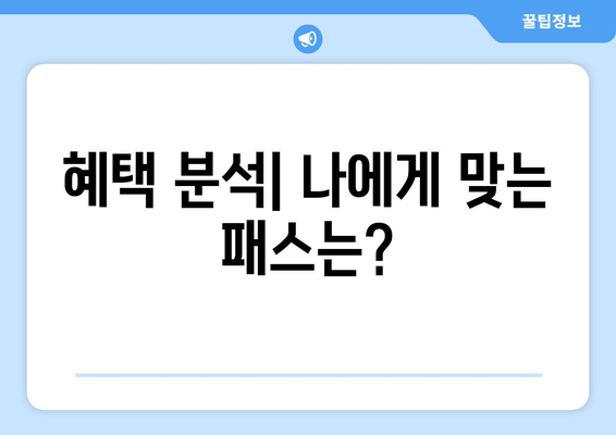 혜택 분석| 나에게 맞는 패스는?