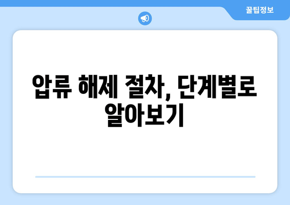 자동차 압류 해제, 집에서 간편하게 해결하는 방법 | 압류 해제 절차, 필요 서류, 비용, 주의 사항