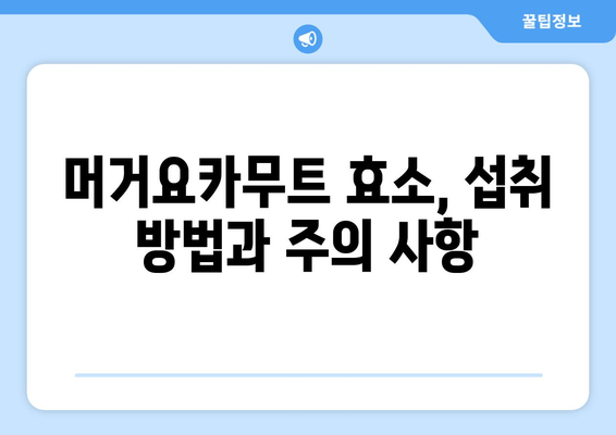 머거요카무트 효소| 효능과 추천사항 | 건강, 면역, 소화 개선