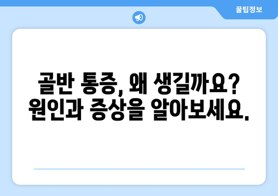 골반 도수 치료| 자세 교정의 중요성과 효과적인 치료법 | 골반 통증, 자세 교정, 체형 불균형, 통증 완화