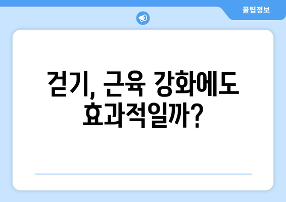 걷기 종류별 근육 효과 비교| 어떤 걷기가 당신에게 맞을까요? | 운동 효과, 근육 강화, 체중 감량, 건강 걷기