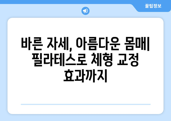 대치동 필라테스| 올바른 자세 교정과 혈액 순환 개선 | 체형 교정, 통증 완화, 근력 강화