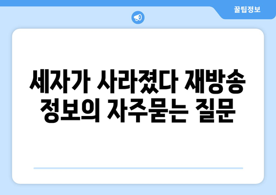 세자가 사라졌다 재방송 정보