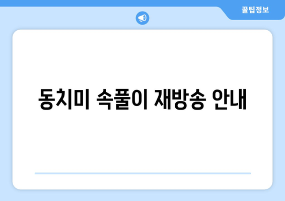 동치미 속풀이 재방송 안내