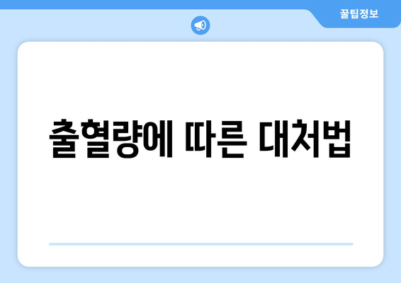 출혈량에 따른 대처법