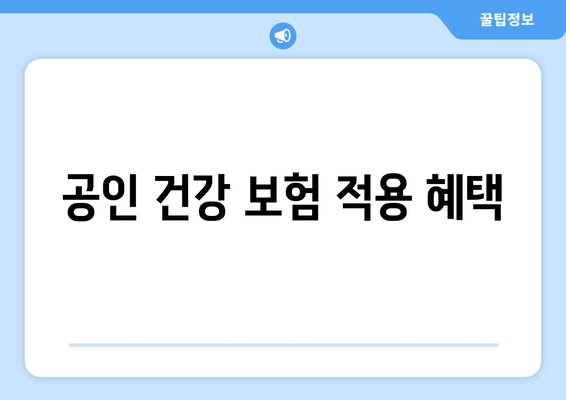 공인 건강 보험 적용 혜택