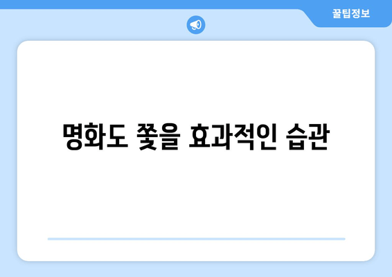 명화도 쫓을 효과적인 습관