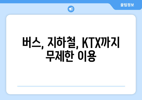 버스, 지하철, KTX까지 무제한 이용