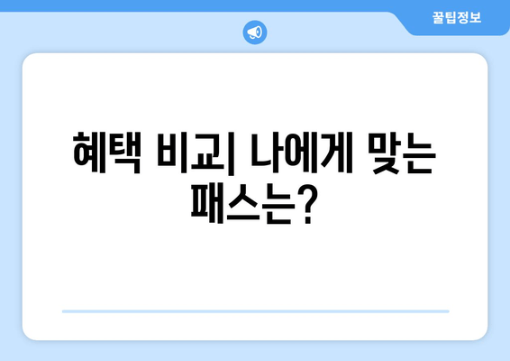 혜택 비교| 나에게 맞는 패스는?