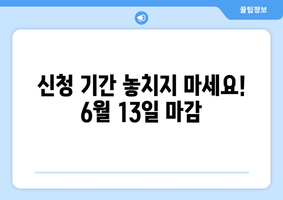 손실보전금 신청 완벽 가이드| 자격 요건, 절차, 6월 13일 신청 마감 | 손실보전금, 신청 방법, 지원 대상, 확인