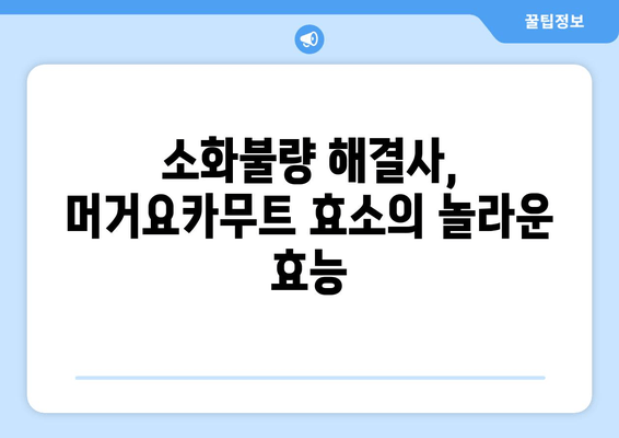 머거요카무트 효소| 효능과 추천사항 | 건강, 면역, 소화 개선