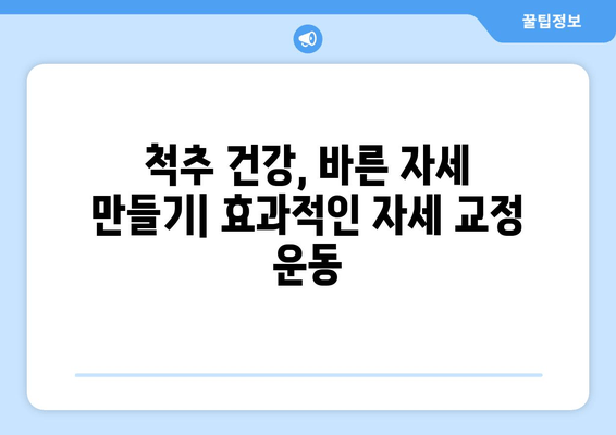 자세 교정, 어디서 어떻게? 도수치료 vs 교정센터 vs 홈케어 비교분석 | 자세 개선, 바른 자세, 자세 교정 운동