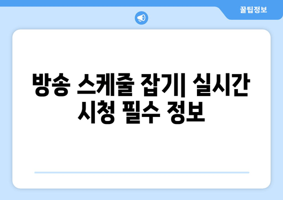 방송 스케줄 잡기| 실시간 시청 필수 정보