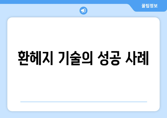 환헤지 기술의 성공 사례