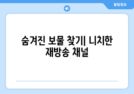 숨겨진 보물 찾기| 니치한 재방송 채널