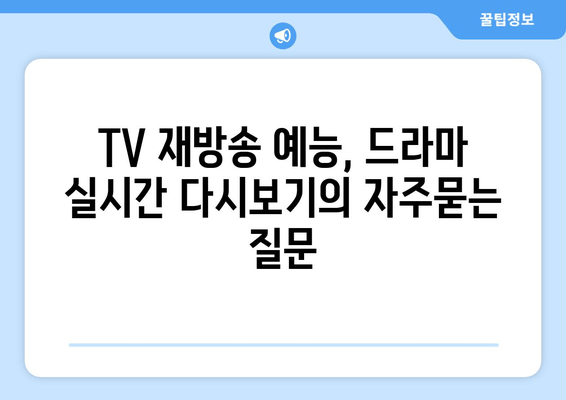 TV 재방송 예능, 드라마 실시간 다시보기
