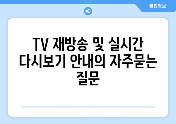 TV 재방송 및 실시간 다시보기 안내