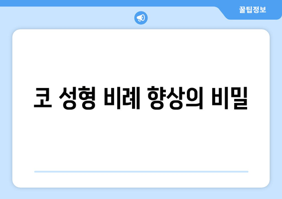 코 성형 비례 향상의 비밀