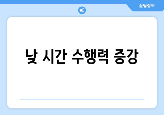 낮 시간 수행력 증강