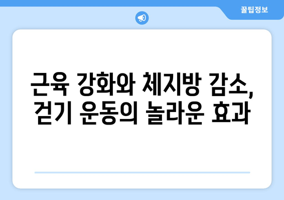 근육 발달을 위한 효과적인 걷기 운동법| 10분 만에 알아보는 전문가 팁 | 근육 강화, 체지방 감소, 걷기 운동 루틴