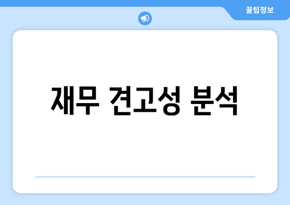 재무 견고성 분석