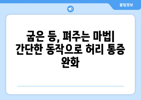 60대 건강 지키는 자세 교정 운동법 | 허리 통증 완화, 균형 개선, 척추 건강