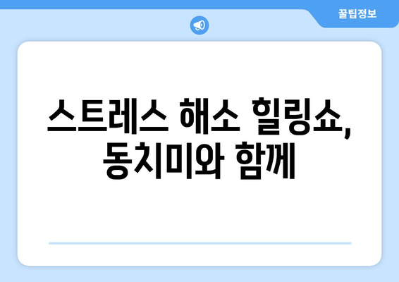 스트레스 해소 힐링쇼, 동치미와 함께