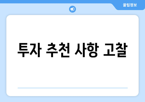 투자 추천 사항 고찰