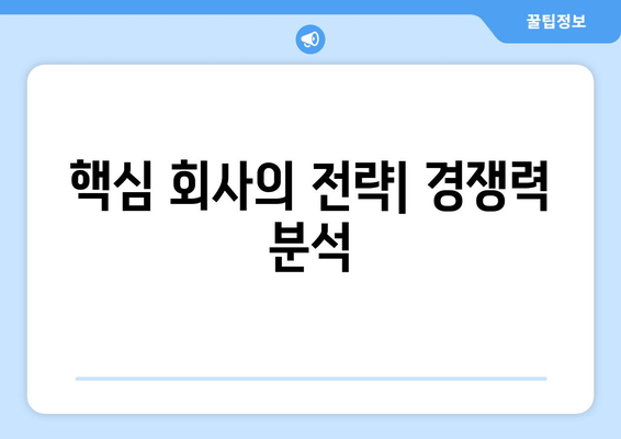 핵심 회사의 전략| 경쟁력 분석