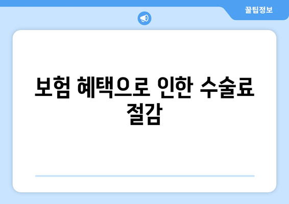 보험 혜택으로 인한 수술료 절감