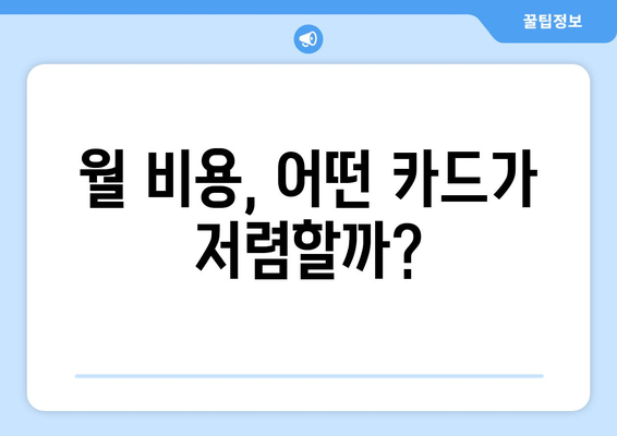 월 비용, 어떤 카드가 저렴할까?