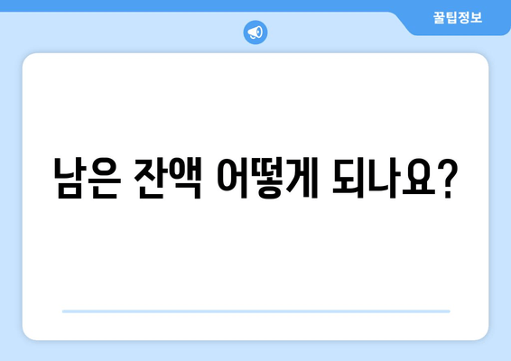 남은 잔액 어떻게 되나요?