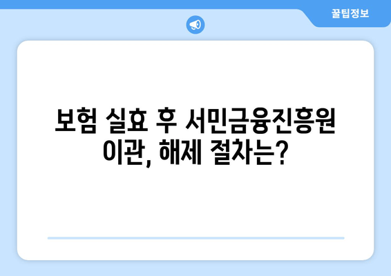 보험 실효 후 서민금융진흥원 이관 처리 및 해제| 상세 가이드 | 보험 해지, 채무 탕감, 금융 지원