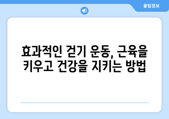 근육을 키우는 걷기 vs 근육을 잃는 걷기| 당신의 걷기는 어떤 종류인가요? | 근육, 걷기, 운동, 건강, 체중 감량