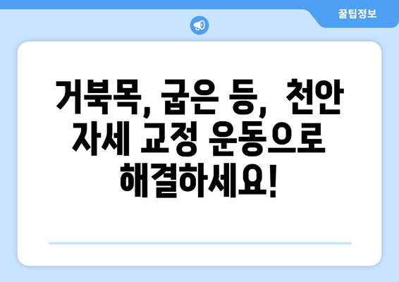 천안 자세 교정| 스트레칭으로 굳어버린 자세, 이제 바로잡자! | 자세 교정 운동, 천안 추천, 바른 자세 습관