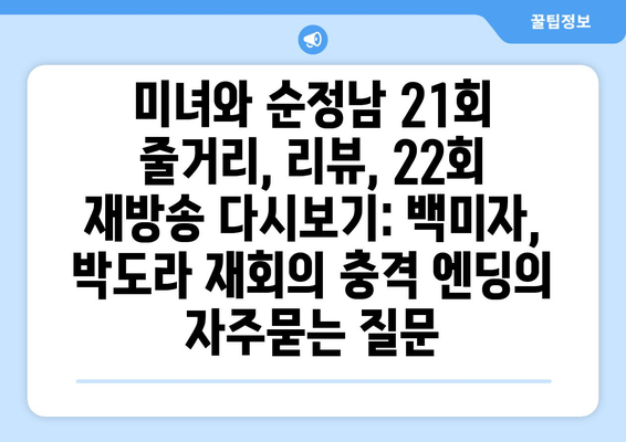 미녀와 순정남 21회 줄거리, 리뷰, 22회 재방송 다시보기: 백미자, 박도라 재회의 충격 엔딩
