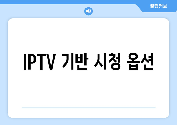 IPTV 기반 시청 옵션