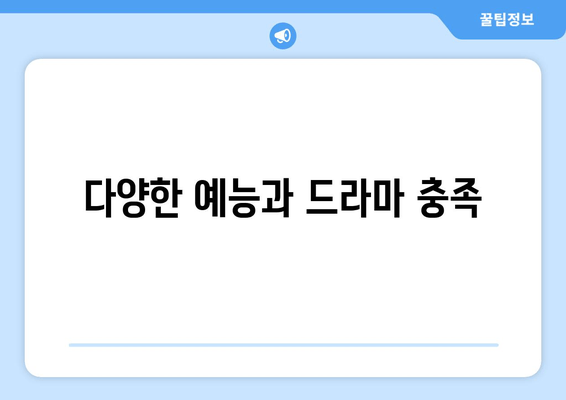 다양한 예능과 드라마 충족