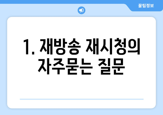 1. 재방송 재시청