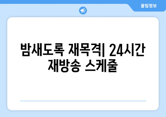 밤새도록 재목격| 24시간 재방송 스케줄