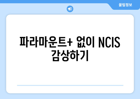 파라마운트+ 없이 NCIS 감상하기