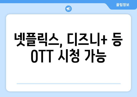넷플릭스, 디즈니+ 등 OTT 시청 가능