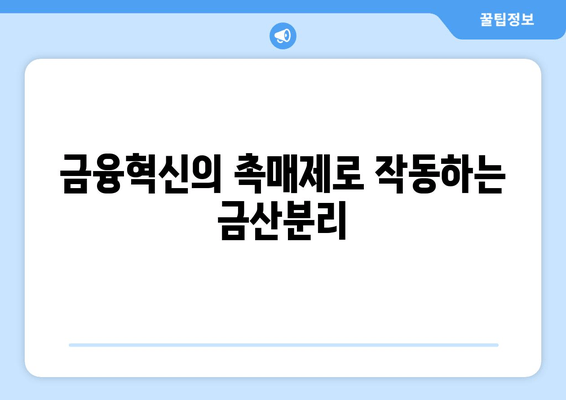 금융혁신의 촉매제로 작동하는 금산분리