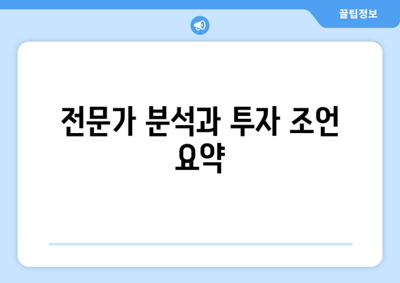 전문가 분석과 투자 조언 요약