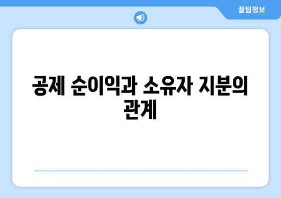 공제 순이익과 소유자 지분의 관계