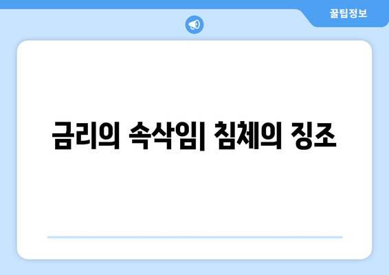 금리의 속삭임| 침체의 징조