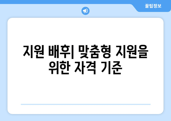 지원 배후| 맞춤형 지원을 위한 자격 기준